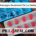 Kamagra Seulement De La Gelée new14